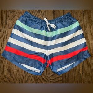 Chubbies Me Likey The Stripey Classic Swim‎ Trunks Men's Large